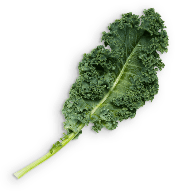 kale